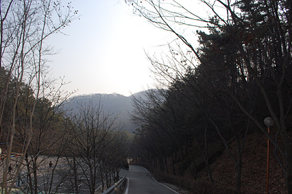 DSC_5657.jpg