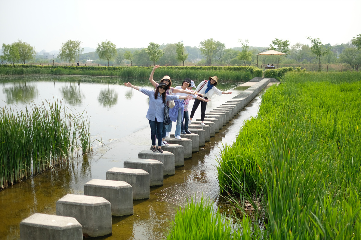 DSCF9628.jpg